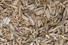biomass boilers Trematon